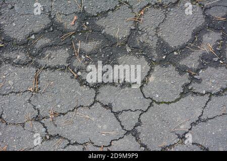 Macro closeup on concrete asphalt cracks on the road Stock Photo