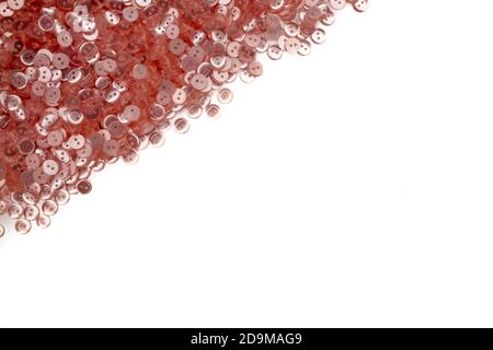 pearl red plastic buttons on white background Stock Photo