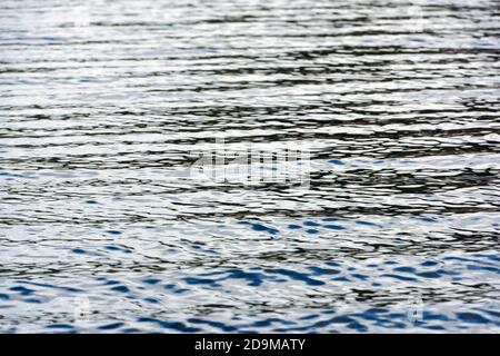 Ripples on water surface Stock Photo