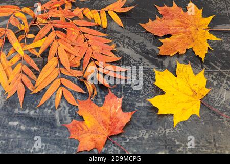 autumn, bright leaves on a black table. Concept of autumn, relaxation. High quality photo Stock Photo