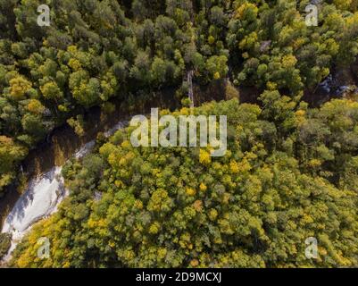 Birdseye view of a grouping of trees in Norway