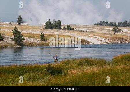 A fly fisherman on the Firehole River in Yellowstone National Park in Wyoming.  Steam rises from the Midway Geyser Basin behind. Stock Photo