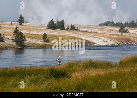 A fly fisherman on the Firehole River in Yellowstone National Park in Wyoming.  Steam rises from the Midway Geyser Basin behind. Stock Photo