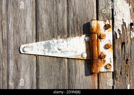Rusted hinge on old barn door. Stock Photo