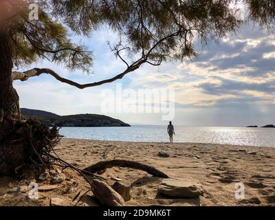 Andros island, Cyclades, Greece - Paralia Fellou beach north of Gavrion. Stock Photo