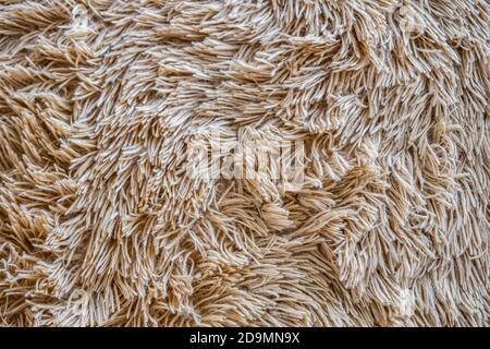 soft wool texture background, cotton wool, light natural animal wool, close-up texture of white fluffy fur, wool with beige tone, fur with a delicate Stock Photo