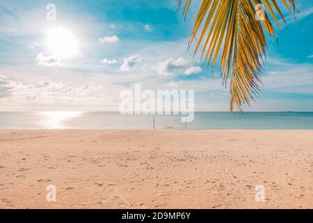 Beautiful sunset over the sea with palm tree leaf on the tropical beach and blue sky for travel in holiday relax time. Summer beach sunset, seaside Stock Photo