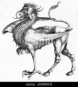 The Griffin, engraving by Israhel van Meckenem, c.1445-1503 Stock Photo