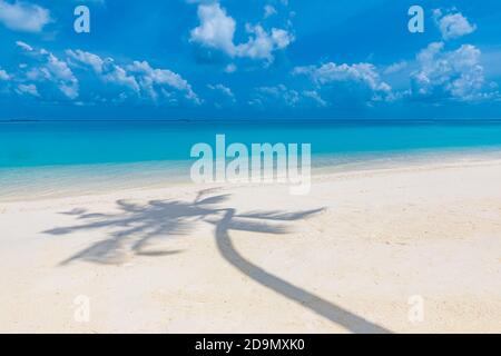 Artistic tropical beach landscape, palm tree leaves shadow. Amazing seascape, exotic nature pattern. Abstract paradise island coast, sunny weather Stock Photo