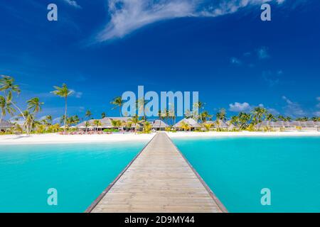 Beautiful tropical Maldives island with beach sea and coconut palm tree on blue sky for nature holiday vacation background concept, luxury resort Stock Photo