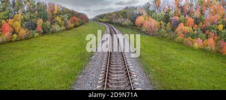 Perspective railway and panorama of autumn trees along the tracks. Autumn landscape in cloudy weather. Stock Photo