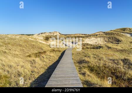 Boardwalk through the dunes on the island of Amrum, Nebel, North Frisian Islands, Schleswig-Holstein, Northern Germany, Germany, Europe Stock Photo