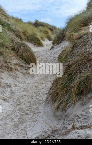 Landscape on Amrum, Germany. Amrum is one of the North Frisian Islands on the German North Sea coast, south of Sylt and west of Foehr