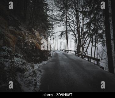 Dark street through a dark forrest uphill to a mountain, steep gradient Stock Photo