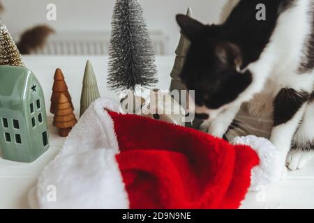 Modern christmas decorations, little trees and houses and cute cat sitting at santa hat. Curious black and white cat posing at miniature village on wo Stock Photo