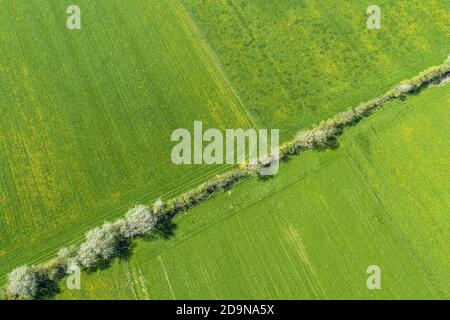 Aerial view of the island of Foehr, North Frisian Islands, Schleswig-Holstein, Northern Germany, Germany, Europe Stock Photo