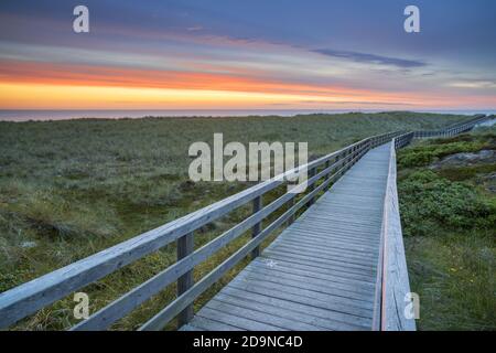 Path to the beach in Kampen, Sylt Island, North Frisia, Friesland, Schleswig-Holstein, North Germany, Germany, Europe Stock Photo