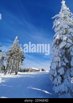 Winter day in the Hochficht ski area in the Bohemian Forest Stock Photo