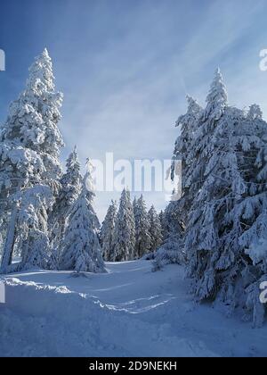 Winter day in the Hochficht ski area in the Bohemian Forest Stock Photo