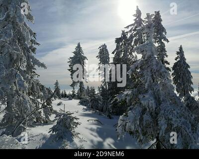 Winter day in the Hochficht ski area in the Bohemian Forest Stock Photo