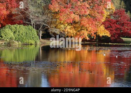 Autumn colours reflected in lakeside setting Stock Photo