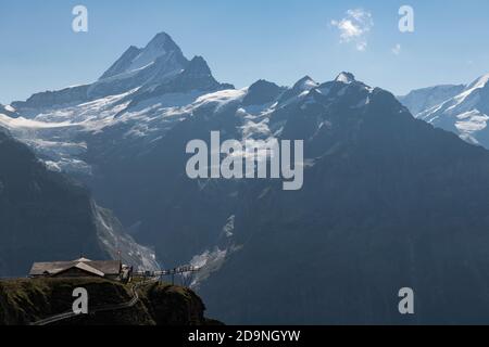 Switzerland, Canton Bern, Bernese Oberland, Grindelwald, First with Swiss flag, First Cliff Walk, Schreckhorn, Lauteraarhorn Stock Photo