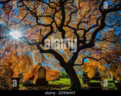 Autumn in Green-Wood Cemetery, Brooklyn Stock Photo