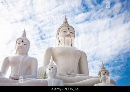 Many white Buddha on blue sky and cloud background Stock Photo