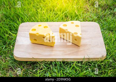 Ice cream shaped cheese cubes placed on a wooden tray on the garden grass. Stock Photo