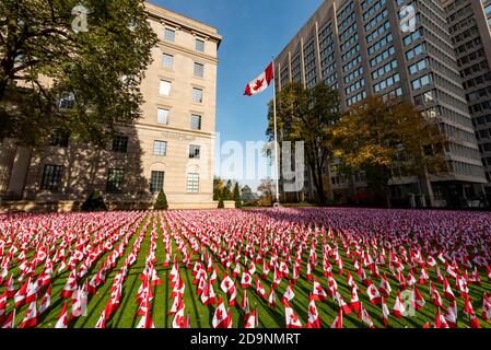 Toronto, Canada. 6 November 2020. Canadian flags on display at the front lawn of the Manulife Building on Bloor Street in Toronto ahead of Remembrance Day, November 11, in remembering and honouring Canada's fallen heroes.  Dominic Chan/EXimages Stock Photo
