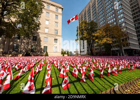 Toronto, Canada. 6 November 2020. Canadian flags on display at the front lawn of the Manulife Building on Bloor Street in Toronto ahead of Remembrance Day, November 11, in remembering and honouring Canada's fallen heroes.  Dominic Chan/EXimages Stock Photo