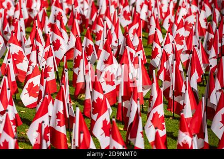 Toronto, Canada. 6 November 2020. Canadian flags on display at the front lawn of the Manulife Building on Bloor Street in Toronto ahead of Remembrance Day, November 11, in remembering and honouring Canada's fallen heroes.  Dominic Chan/EXimages Stock Photo