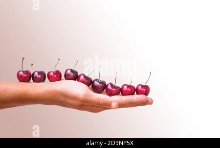 Fresh sweet red cherries isolated on pink background Stock Photo