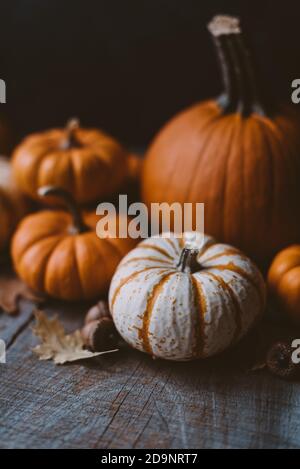 Still life of orange and white pumpkins on rustic wooden table. Stock Photo