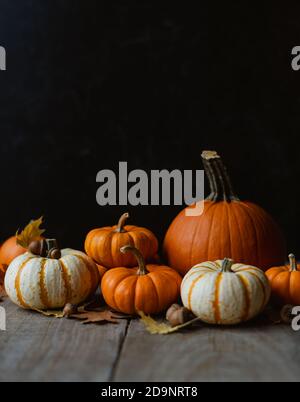 Still life of orange and white pumpkins on rustic wooden table. Stock Photo