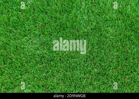 artificial turf synthetic grass seen from above with natural daylight Stock Photo