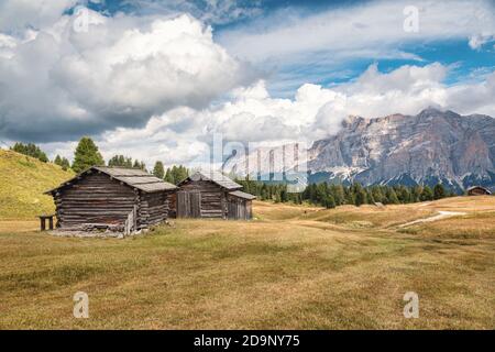 traditional alpine huts on the pralongià pastures, val badia, alto adige / südtirol, dolomites, italy, europe Stock Photo