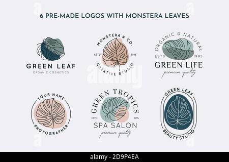 Collection of Monstera leaf logo design template in simple minimal linear style. Vector Exotic tropical emblem with leaves and abstract shapes for Bea Stock Vector