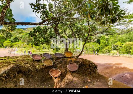 Pots with the seven different rock colors, Seven Colored Earth, Terres des Sept Couleurs, Chamarel, Seven Colored Earths, Mauritius, Africa, Indian Ocean Stock Photo