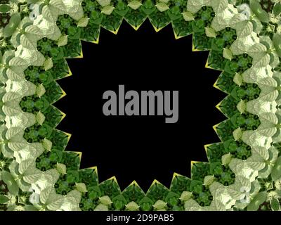 Frame Created With Potato Leaves | Kaleidoscopic Effect Stock Photo