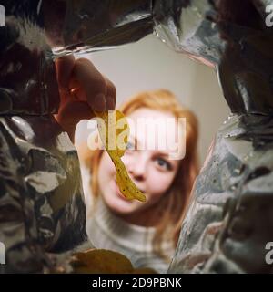 a sweet girl with appetite takes out chips from a pack. view from the pack Stock Photo