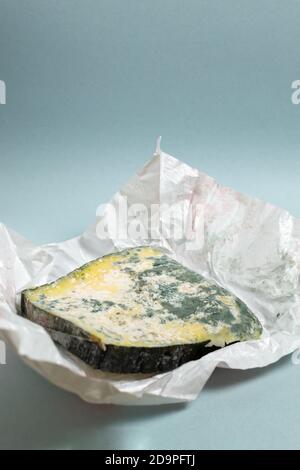 Spoiled cheese in packaging on a blue background. Food waste concept. Vertical orientation. Copy space. Stock Photo