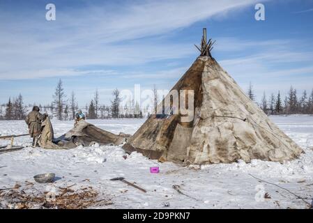 A Nenets family dismantling a traditional tent for migration, Yamalo-Nenets Autonomous Okrug, Russia Stock Photo