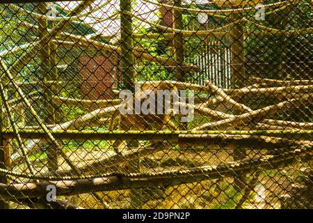 View of the entrance of Port Lympne Reserve -a breeding sanctuary for rare and endangered animals,Lympne,Kent,UK Stock Photo