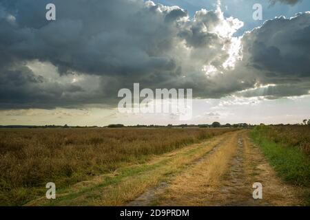 Grassy road through the fields and rain cloud Stock Photo