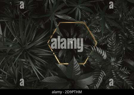 3d rendering of hexagon golden shape over tropical plants. Flat lay of precious nature style concept Stock Photo