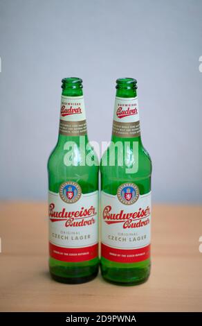 Two green empty Budweiser beer bottles Stock Photo