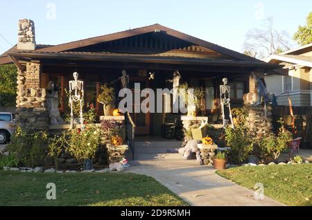 Pasadena, California, USA 4th November 2020 A general view of atmosphere of Halloween Display with Skeletons and pumpkins on November 4, 2020 in Pasadena, California, USA. Photo by Barry King/Alamy Live News Stock Photo