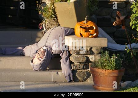 Pasadena, California, USA 4th November 2020 A general view of atmosphere of Halloween Display with Skeletons and pumpkins on November 4, 2020 in Pasadena, California, USA. Photo by Barry King/Alamy Live News Stock Photo