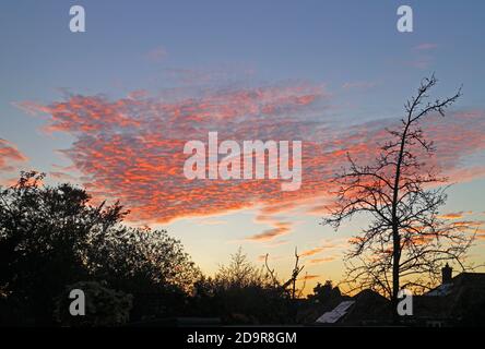 A view of a group of altocumulus clouds at sunset with the sun reflecting red off the underside over Hellesdon, Norfolk, England, United Kingdom. Stock Photo
